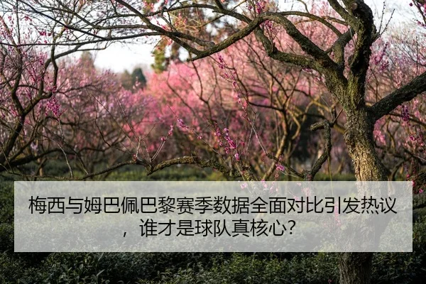 梅西与姆巴佩巴黎赛季数据全面对比引发热议，谁才是球队真核心？